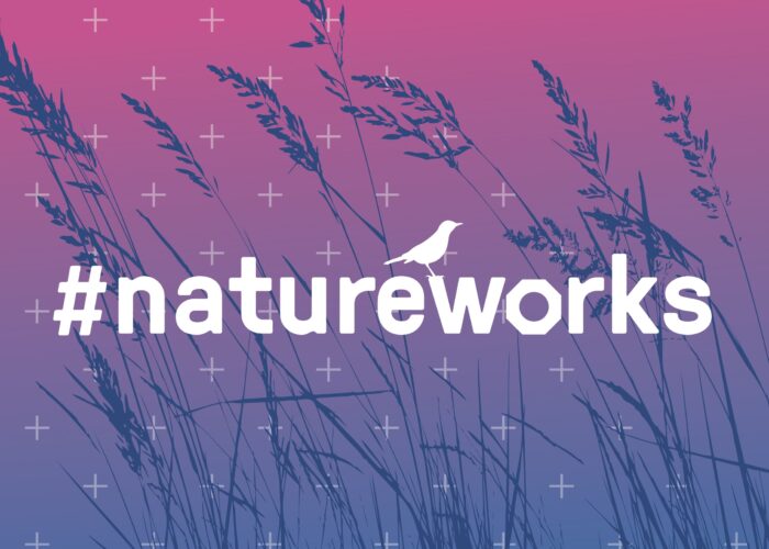 SWA GROUP INVITES PARTICIPATION IN EARTH DAY GALLERY AS PART OF “NATURE WORKS” CAMPAIGN