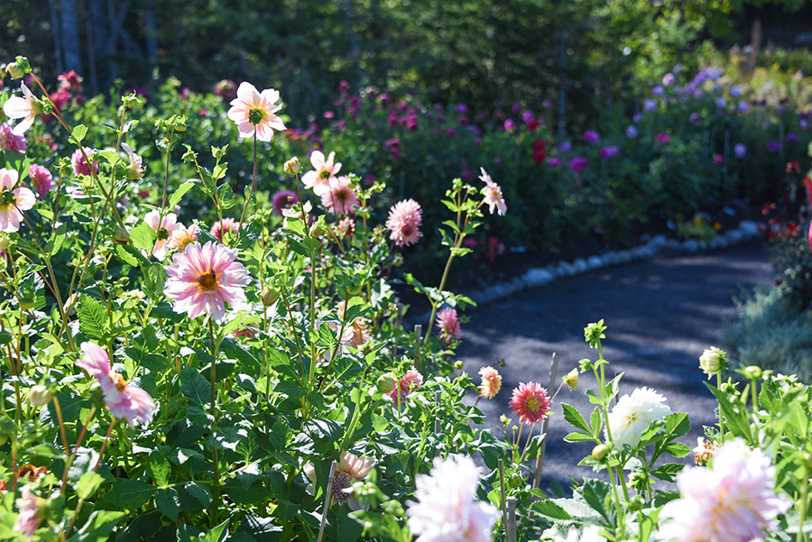 Coastal Maine Botanical Gardens