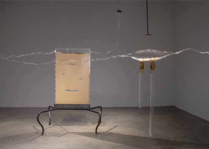 Liu Shiming Art Foundation to Present “Bio-morph,” An Exhibition of Work by Liu Shiming and Liu Shiming Artist Grant Recipients