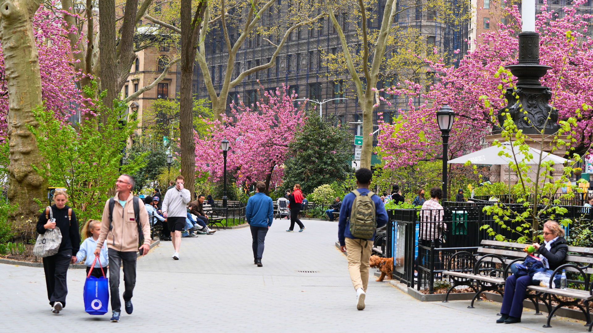 Madison Square Park Conservancy